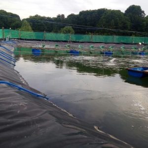 giá bán vải bạt chống thấm nước, màng chống thấm HDPE độ bền trên 10 năm