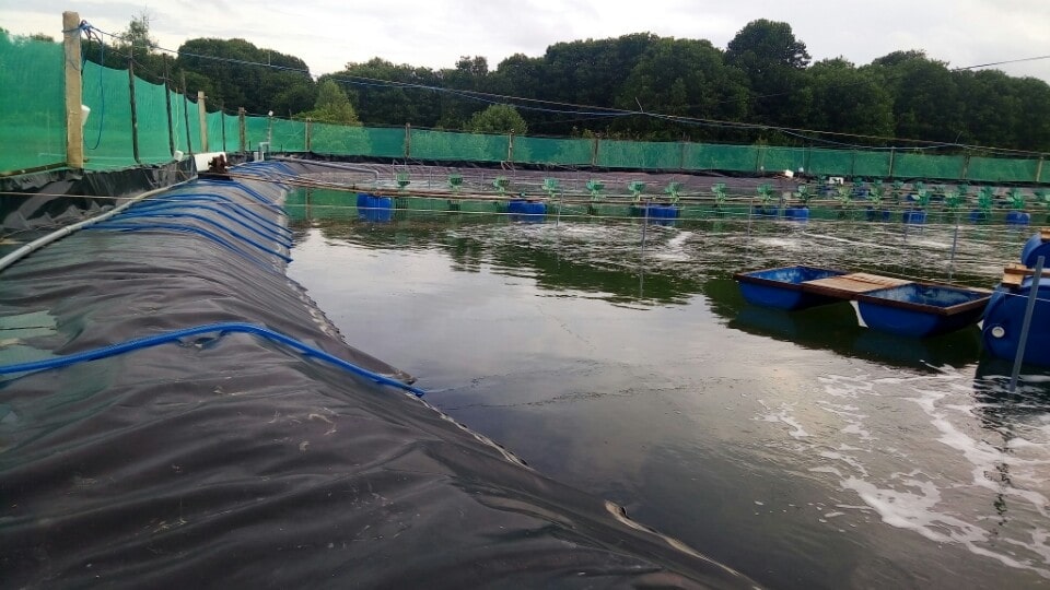 bạt lót hồ tôm ao tôm | bảng giá màng chống thấm HDPE mới nhất 2020