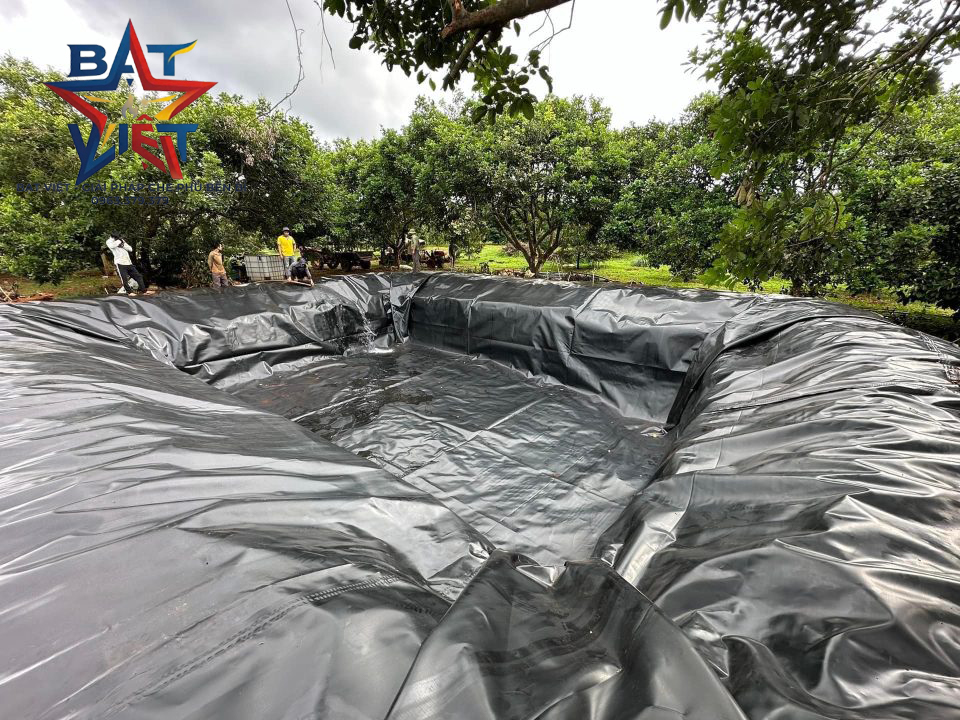 Bạt lót ao hồ Hòa Phát Đạt