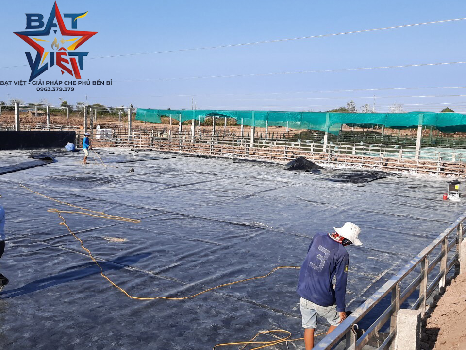 Thi công bạt lót ao hồ