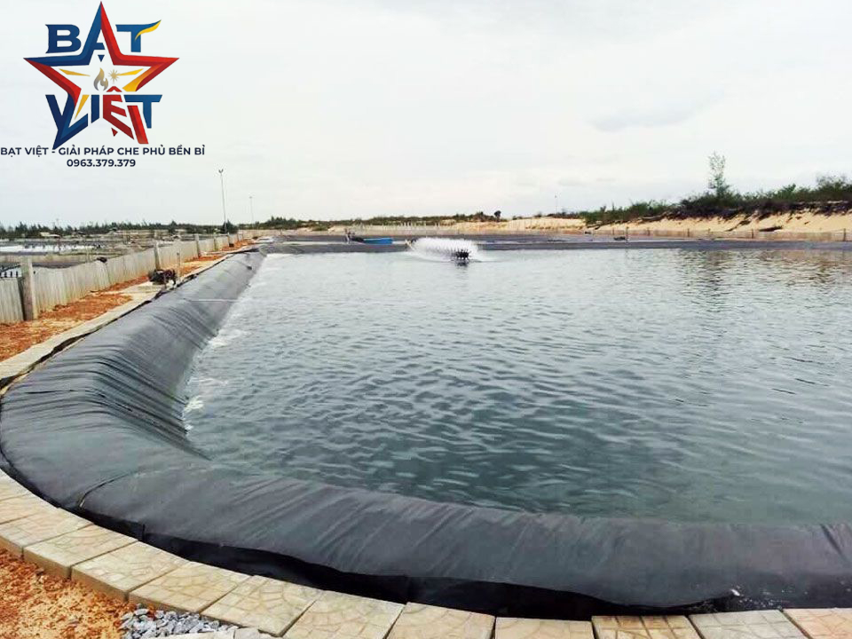 Bạt lót ao hồ Hòa Phát Đạt