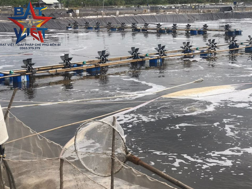 Quy tắc vàng khi lựa chọn bạt lót ao hồ