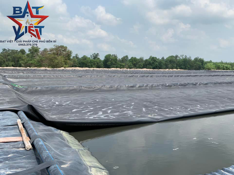 Bạt lót ao hồ Hòa Phát Đạt